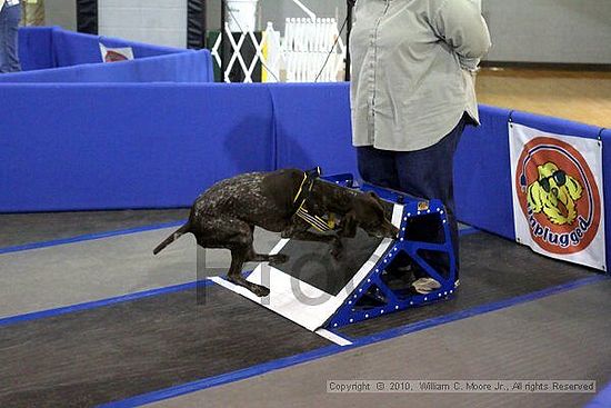 MCRD Unplugged Flyball Tournement<br />March 20th, 2010