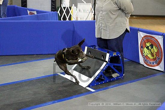 MCRD Unplugged Flyball Tournement<br />March 20th, 2010