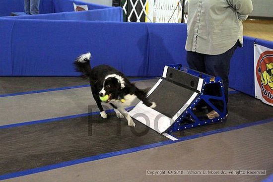 MCRD Unplugged Flyball Tournement<br />March 20th, 2010