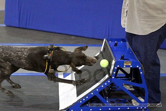 MCRD Unplugged Flyball Tournement<br />March 20th, 2010