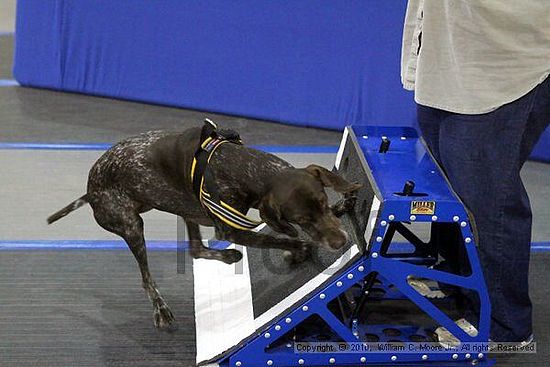 MCRD Unplugged Flyball Tournement<br />March 20th, 2010