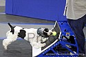 img_2567_thm.jpg