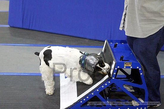 MCRD Unplugged Flyball Tournement<br />March 20th, 2010