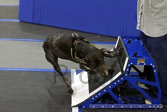 MCRD Unplugged Flyball Tournement<br />March 20th, 2010