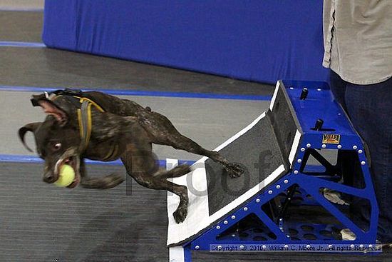 MCRD Unplugged Flyball Tournement<br />March 20th, 2010