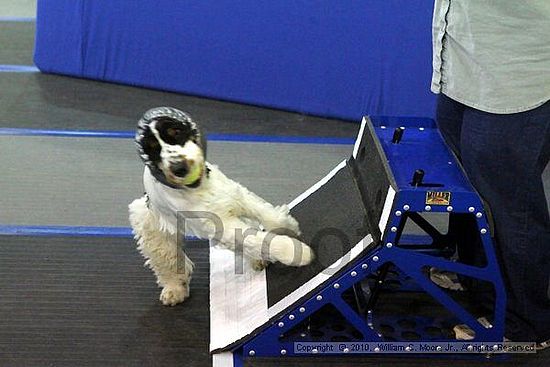 MCRD Unplugged Flyball Tournement<br />March 20th, 2010