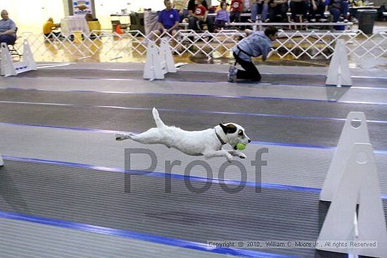 MCRD Unplugged Flyball Tournement<br />March 20th, 2010