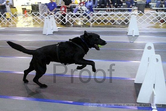 MCRD Unplugged Flyball Tournement<br />March 20th, 2010