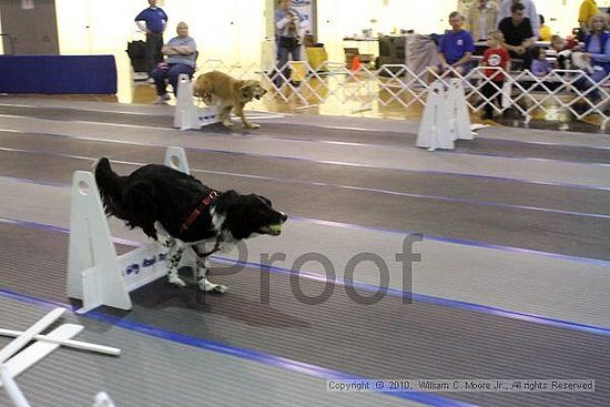 MCRD Unplugged Flyball Tournement<br />March 20th, 2010