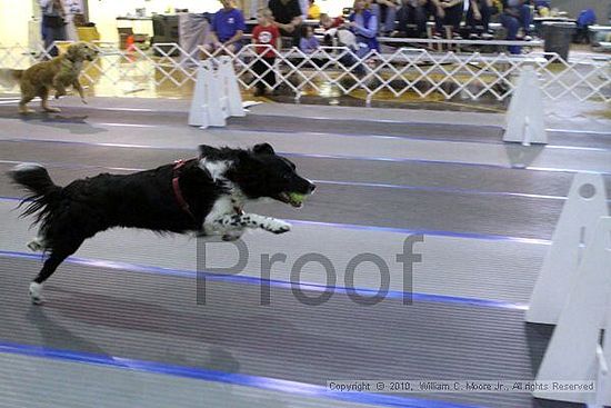 MCRD Unplugged Flyball Tournement<br />March 20th, 2010