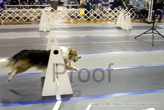 MCRD Unplugged Flyball Tournement<br />March 20th, 2010