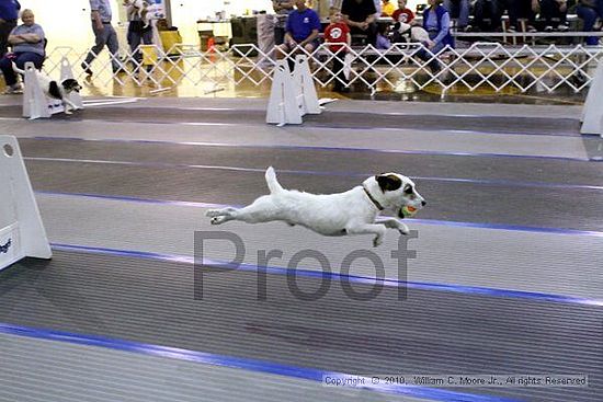 MCRD Unplugged Flyball Tournement<br />March 20th, 2010