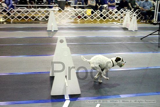 MCRD Unplugged Flyball Tournement<br />March 20th, 2010