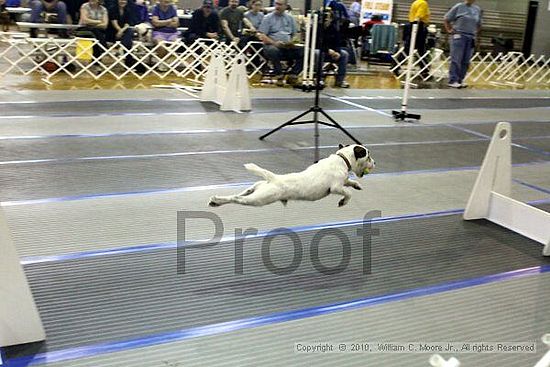 MCRD Unplugged Flyball Tournement<br />March 20th, 2010