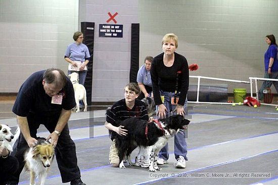 MCRD Unplugged Flyball Tournement<br />March 20th, 2010