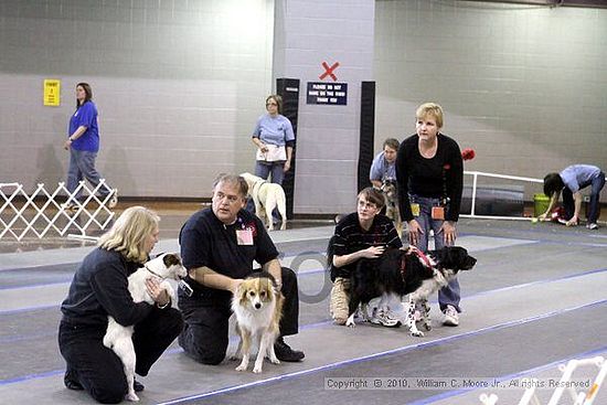 MCRD Unplugged Flyball Tournement<br />March 20th, 2010