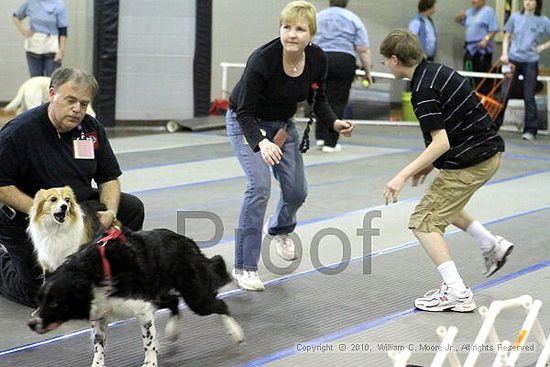 MCRD Unplugged Flyball Tournement<br />March 20th, 2010