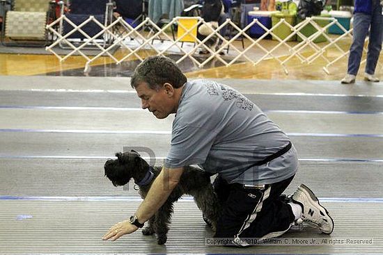 MCRD Unplugged Flyball Tournement<br />March 20th, 2010