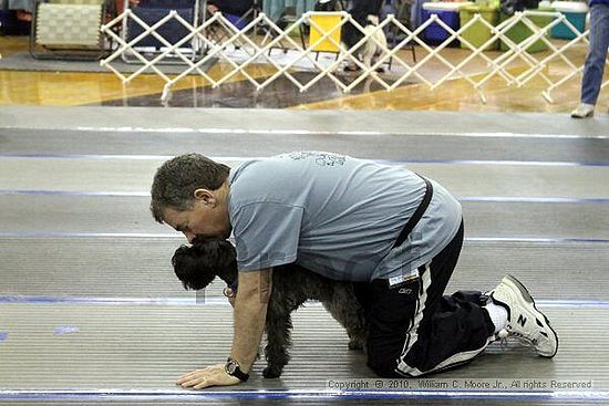 MCRD Unplugged Flyball Tournement<br />March 20th, 2010