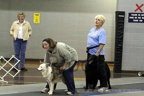 MCRD Unplugged Flyball Tournement<br />March 20th, 2010