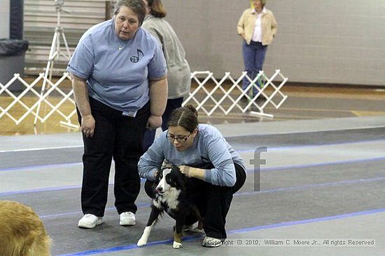 MCRD Unplugged Flyball Tournement<br />March 20th, 2010