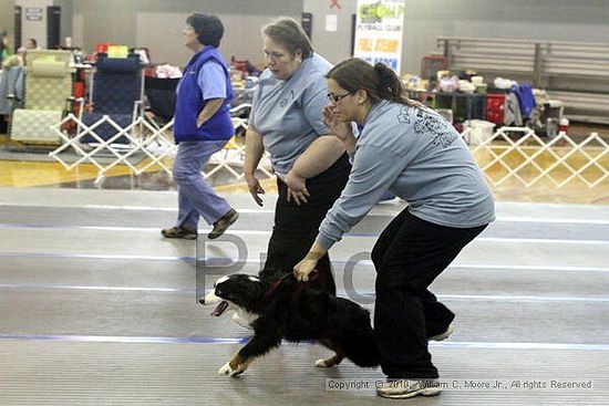 MCRD Unplugged Flyball Tournement<br />March 20th, 2010