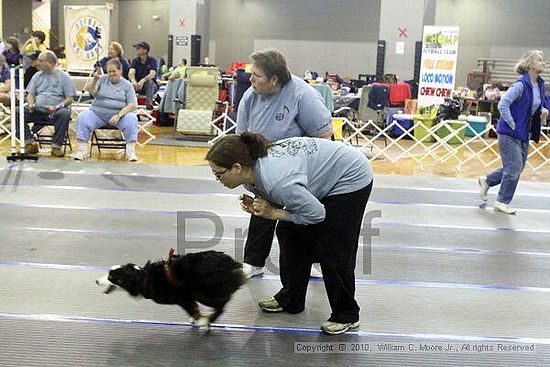 MCRD Unplugged Flyball Tournement<br />March 20th, 2010