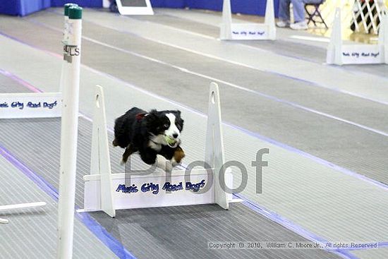 MCRD Unplugged Flyball Tournement<br />March 20th, 2010