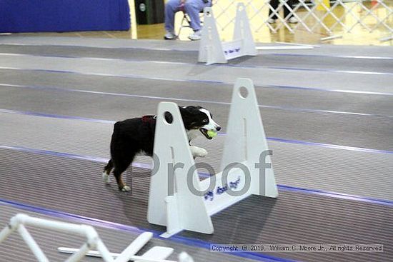 MCRD Unplugged Flyball Tournement<br />March 20th, 2010