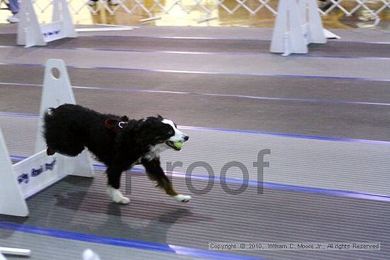 MCRD Unplugged Flyball Tournement<br />March 20th, 2010