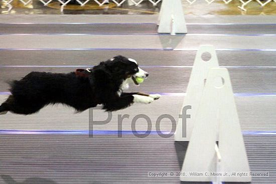 MCRD Unplugged Flyball Tournement<br />March 20th, 2010