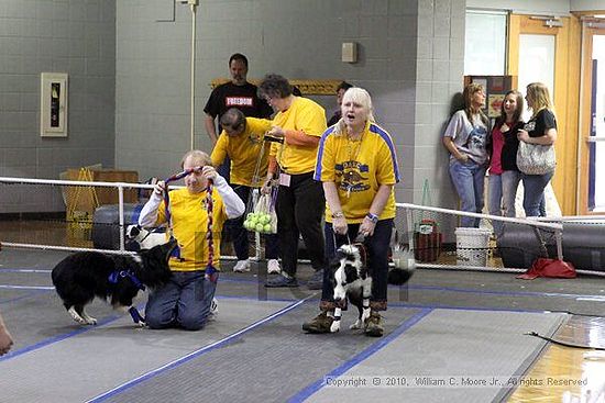 MCRD Unplugged Flyball Tournement<br />March 20th, 2010