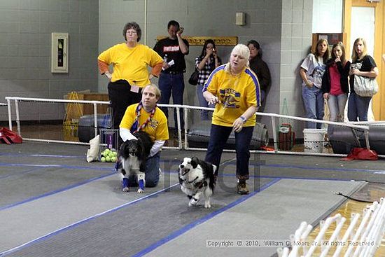 MCRD Unplugged Flyball Tournement<br />March 20th, 2010