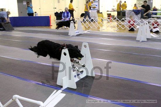 MCRD Unplugged Flyball Tournement<br />March 20th, 2010