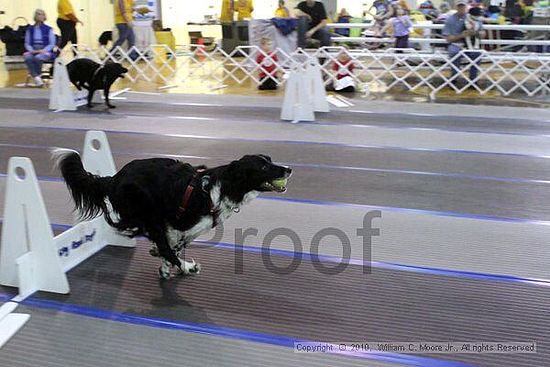 MCRD Unplugged Flyball Tournement<br />March 20th, 2010