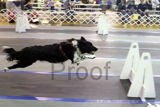 MCRD Unplugged Flyball Tournement<br />March 20th, 2010