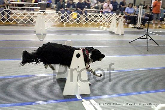 MCRD Unplugged Flyball Tournement<br />March 20th, 2010