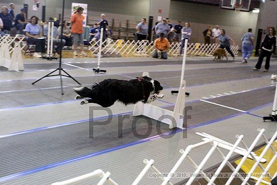 MCRD Unplugged Flyball Tournement<br />March 20th, 2010