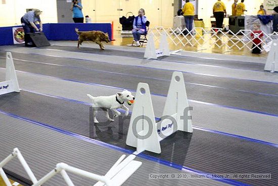 MCRD Unplugged Flyball Tournement<br />March 20th, 2010