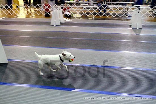 MCRD Unplugged Flyball Tournement<br />March 20th, 2010