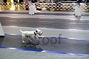 img_2660_thm.jpg
