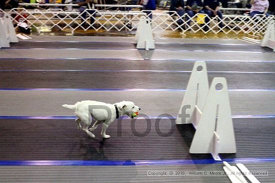 MCRD Unplugged Flyball Tournement<br />March 20th, 2010