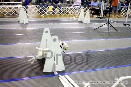 MCRD Unplugged Flyball Tournement<br />March 20th, 2010