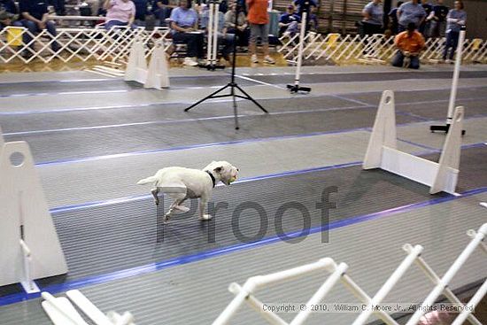 MCRD Unplugged Flyball Tournement<br />March 20th, 2010