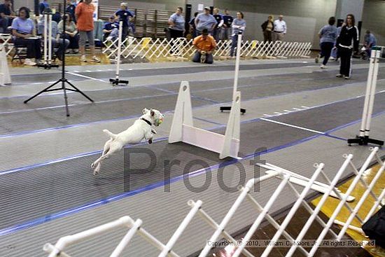 MCRD Unplugged Flyball Tournement<br />March 20th, 2010