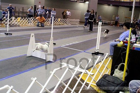 MCRD Unplugged Flyball Tournement<br />March 20th, 2010