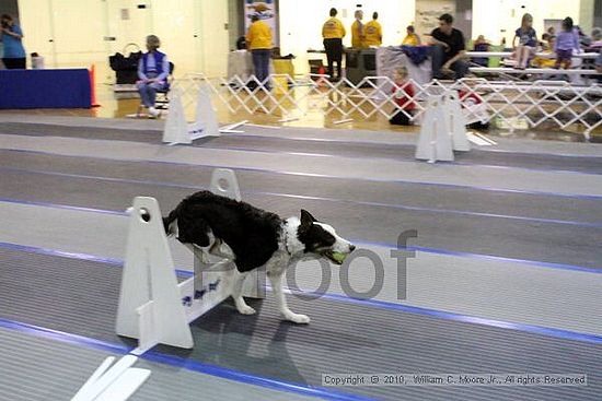 MCRD Unplugged Flyball Tournement<br />March 20th, 2010