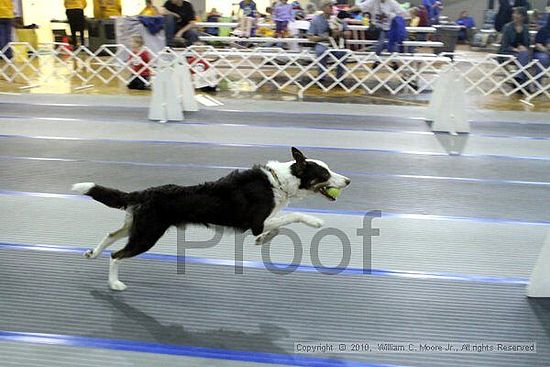 MCRD Unplugged Flyball Tournement<br />March 20th, 2010