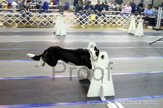 MCRD Unplugged Flyball Tournement<br />March 20th, 2010