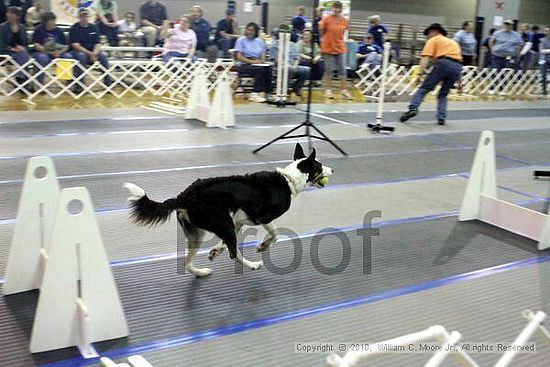 MCRD Unplugged Flyball Tournement<br />March 20th, 2010